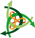 Réseau Intelligence de la Complexité